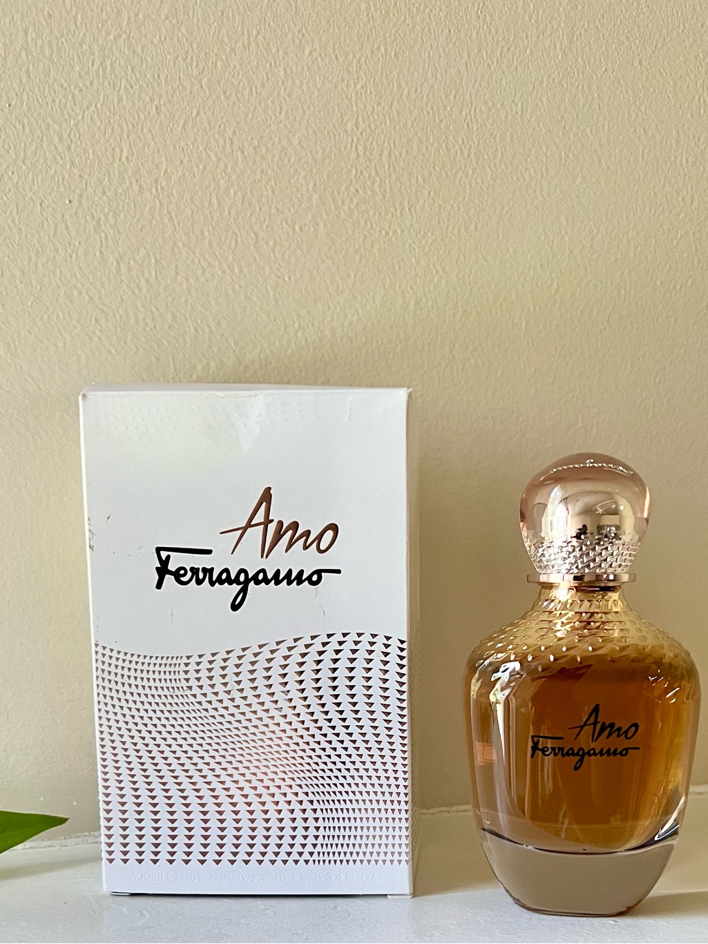 Salvatore Ferragamo Amo Edp 3.4 Oz 100ml Women Perfume Nib Made In Italy